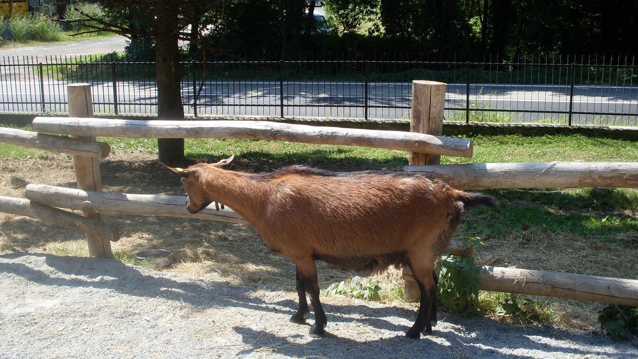 B&B Valle Orco Sparone Kültér fotó